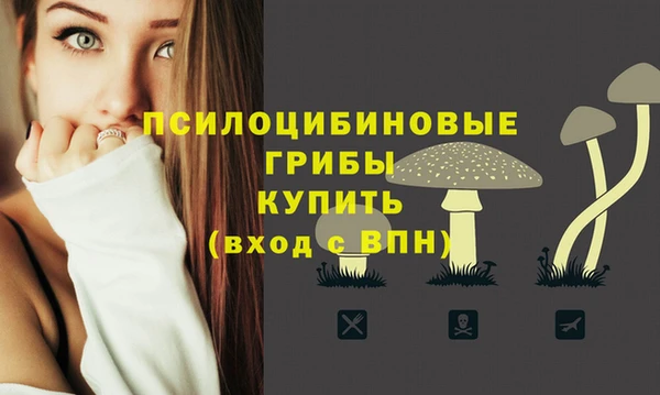 таблы Гусиноозёрск